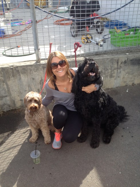 The dogs: Maxie, Pruey and Charlie. This was taken at the Hobart farmers market. This market is awesome!